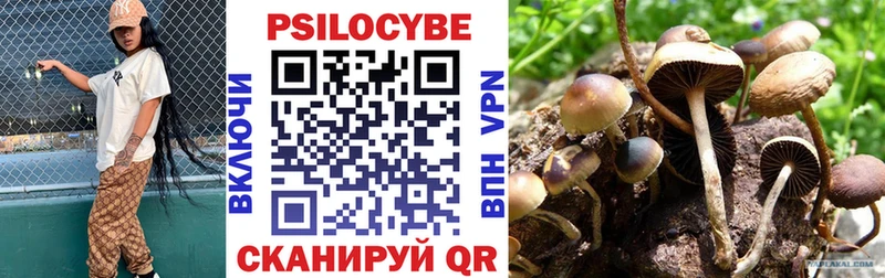 Псилоцибиновые грибы мухоморы  ОМГ ОМГ ссылки  Калачинск  купить наркоту 